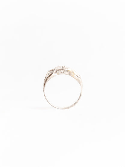 Anna chain ring